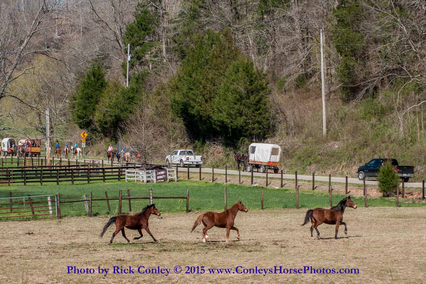 2015-04-04-095.jpg - SONY DSC