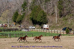 2015-04-04-095