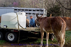2015-04-05-003