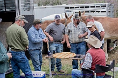 2015-04-05-044