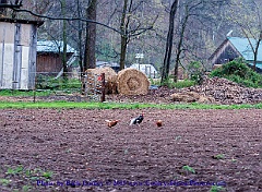 2015-04-06-042