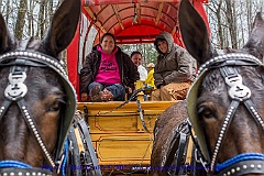2015-04-06-053