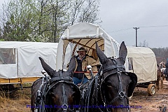 2015-04-06-061