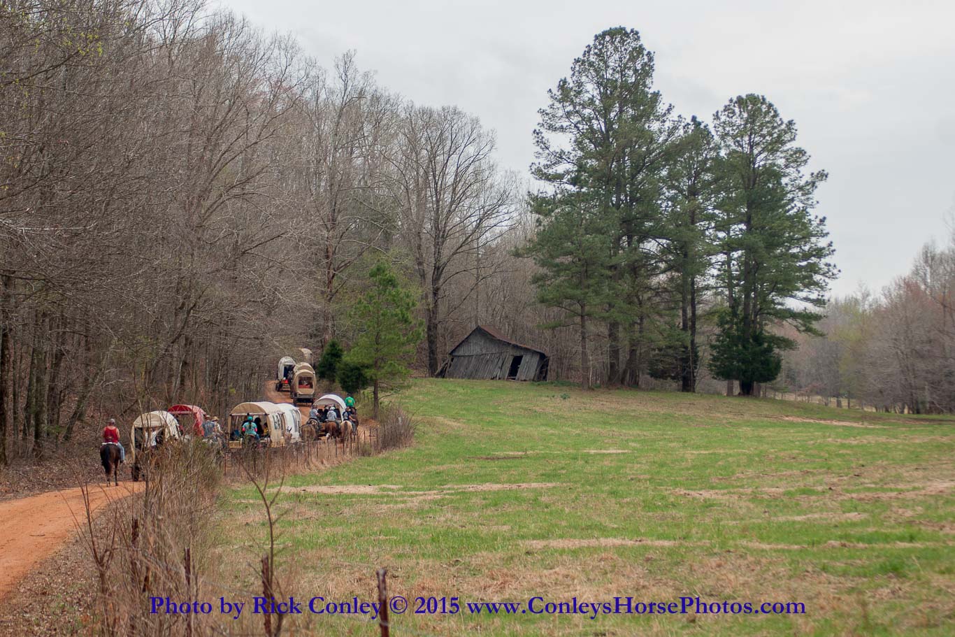 2015-04-07-106.jpg - SONY DSC