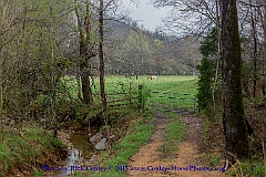 2015-04-07-009