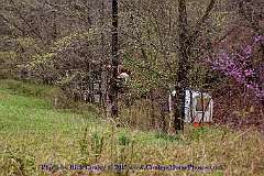 2015-04-07-036
