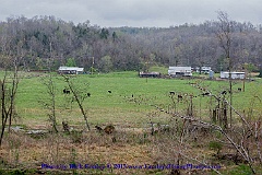 2015-04-07-069