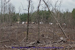 2015-04-07-102