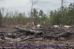 2015-04-07-103