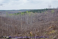2015-04-07-104