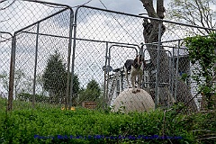 2015-04-07-114