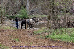 2015-04-08-003