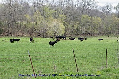 2015-04-08-067
