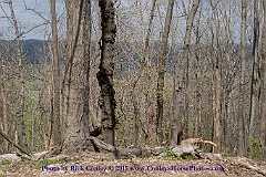 2015-04-08-114