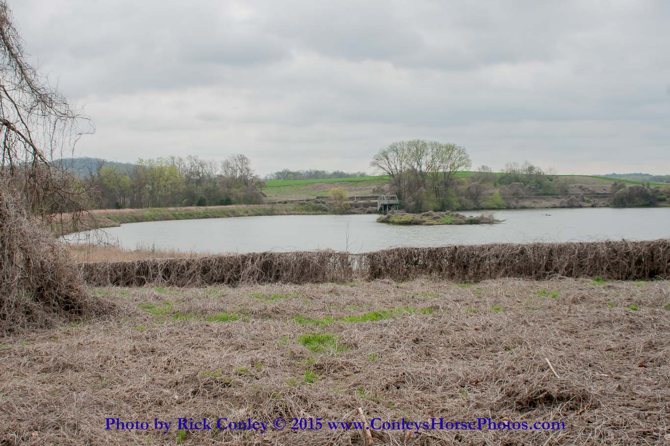 2015-04-09-057.jpg - SONY DSC