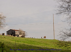 2015-04-09-030