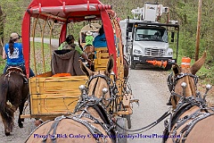 2015-04-09-033
