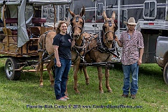 2015-04-09-077