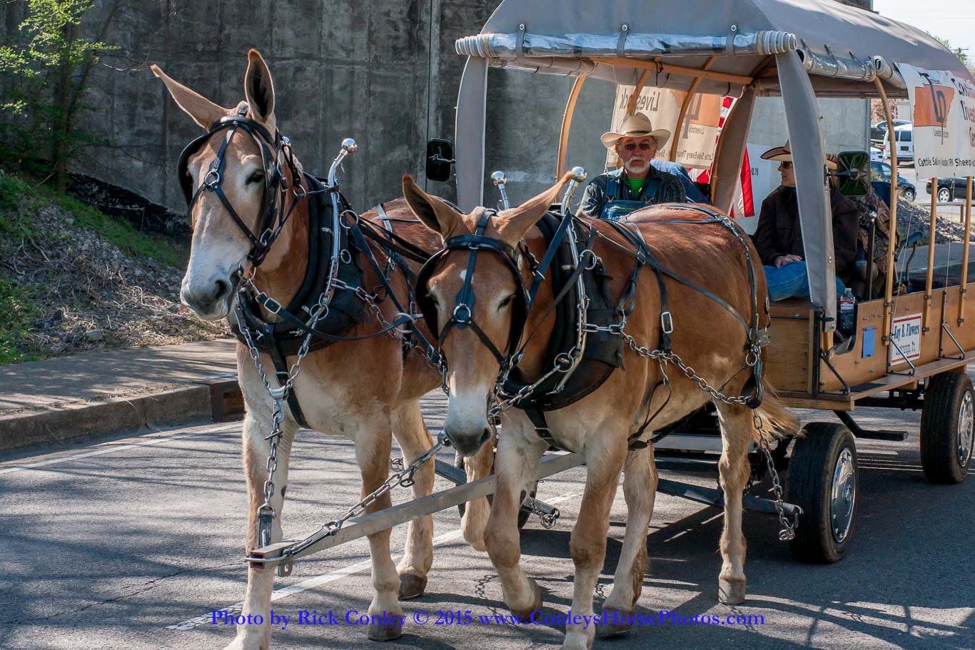 2015-04-11-2015.jpg - SONY DSC