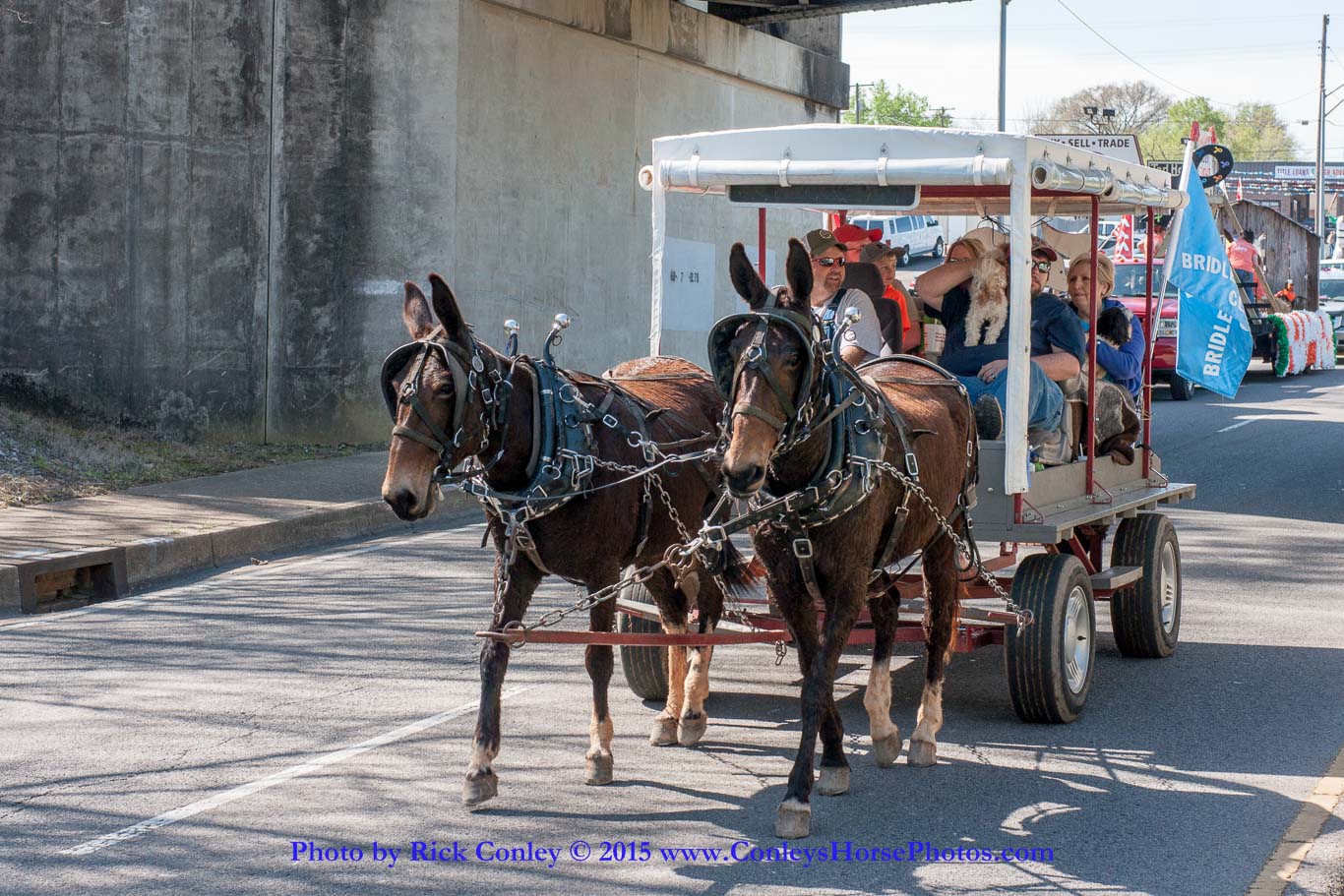 2015-04-11-2025.jpg - SONY DSC