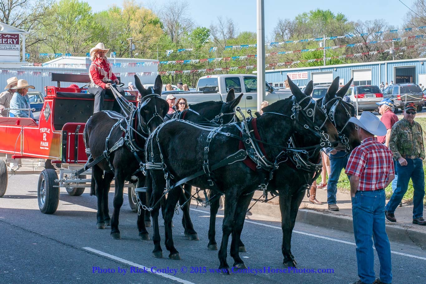 2015-04-11-2027.jpg - SONY DSC