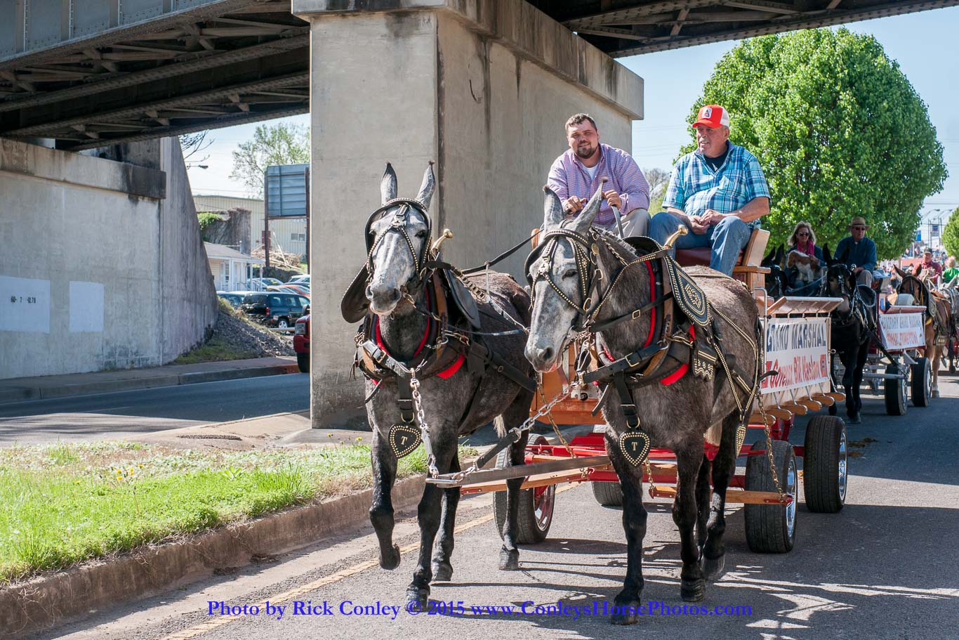 2015-04-11-2030.jpg - SONY DSC