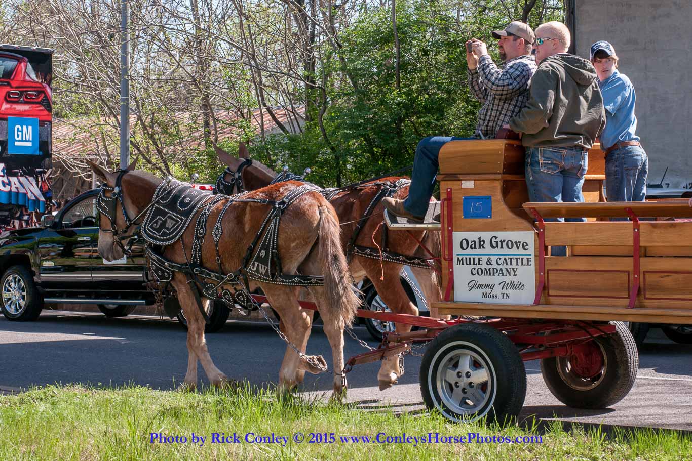 2015-04-11-2035.jpg - SONY DSC