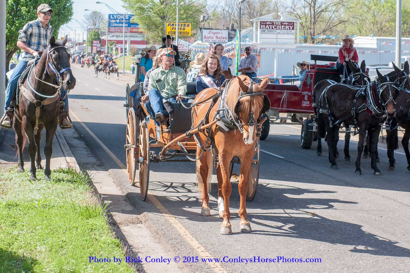 2015-04-11-2038.jpg - SONY DSC