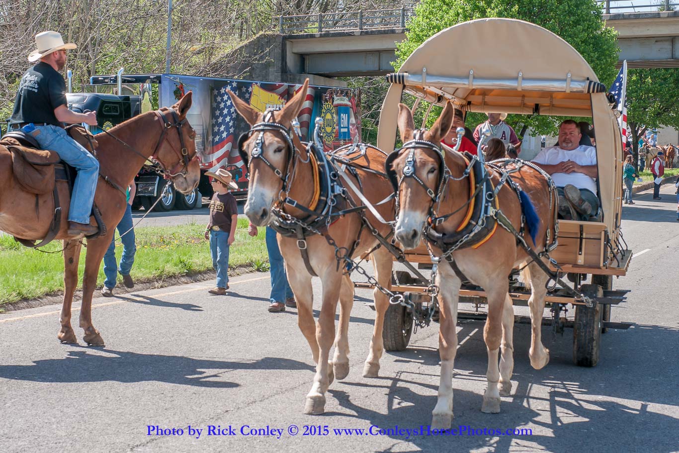 2015-04-11-2050.jpg - SONY DSC