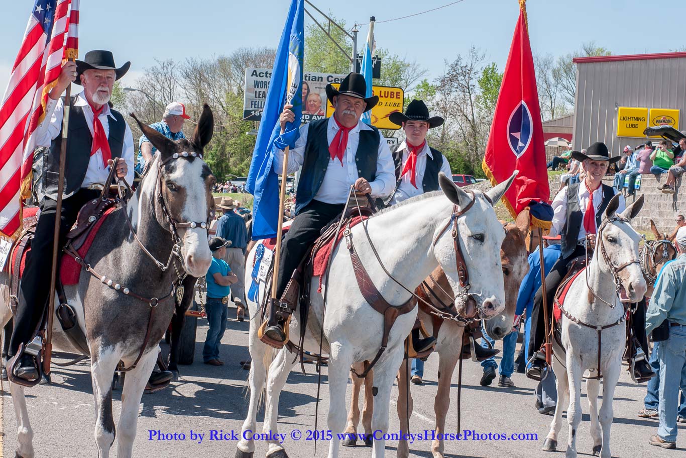 2015-04-11-2056.jpg - SONY DSC