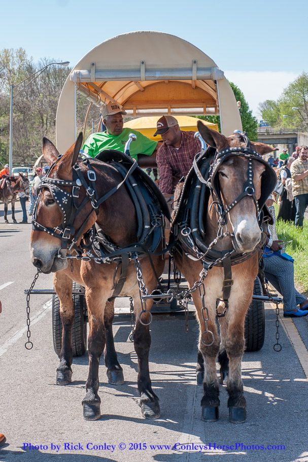 2015-04-11-2058.jpg - SONY DSC