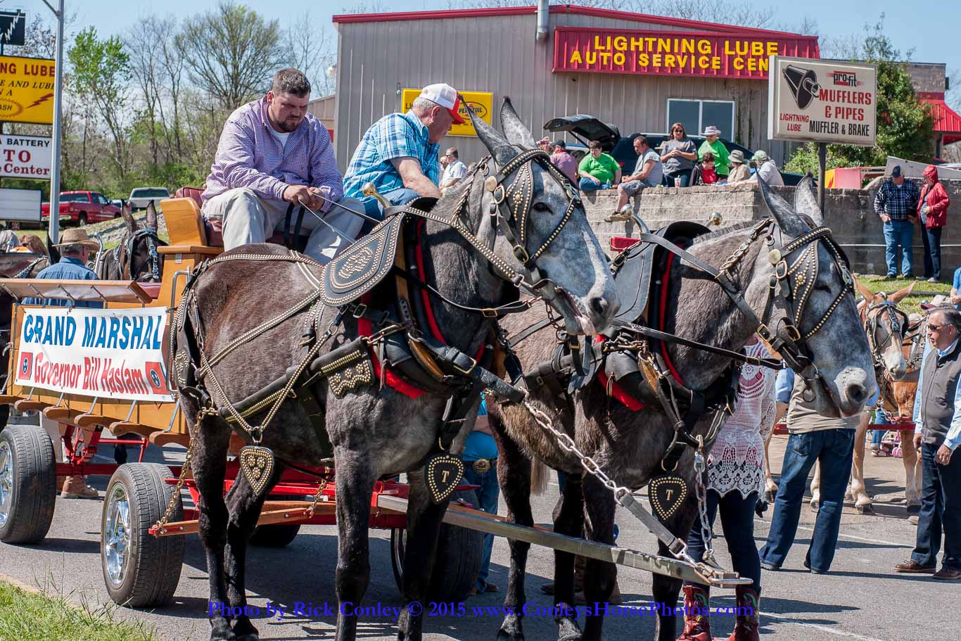 2015-04-11-2059.jpg - SONY DSC