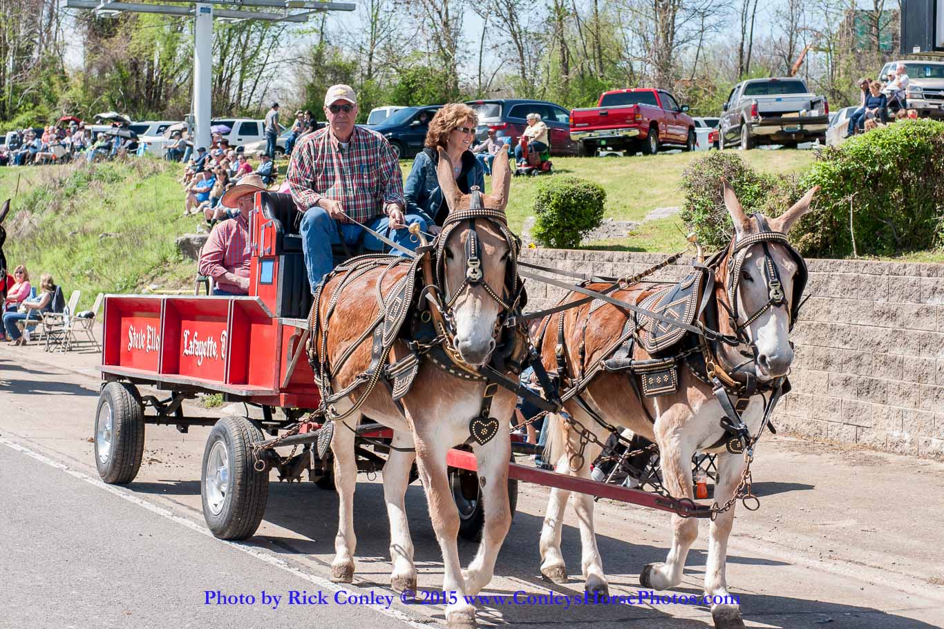 2015-04-11-2074.jpg - SONY DSC