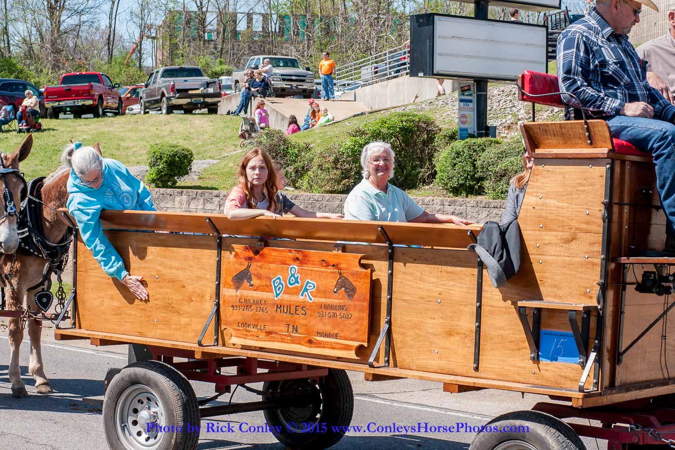 2015-04-11-2075.jpg - SONY DSC