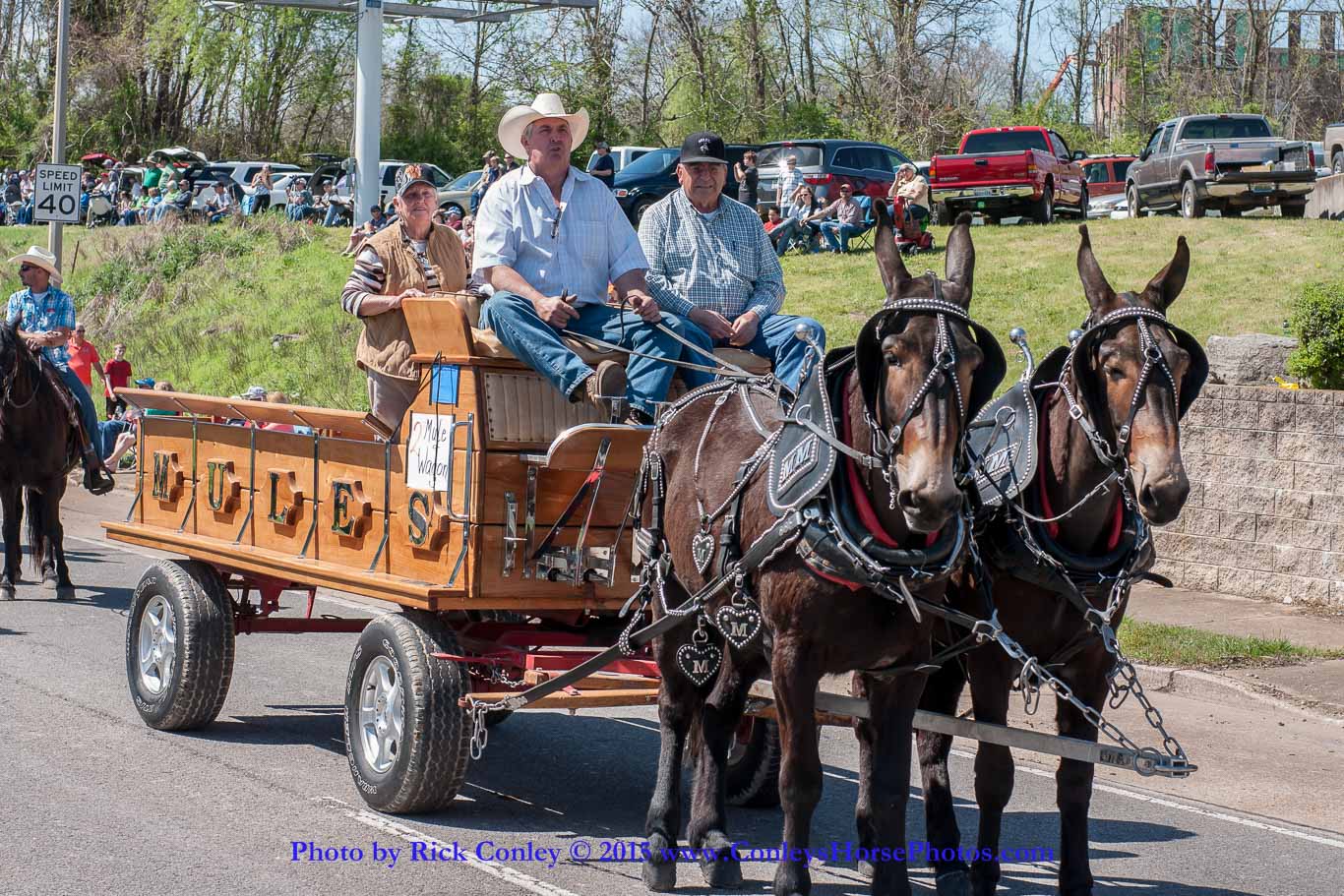 2015-04-11-2077.jpg - SONY DSC