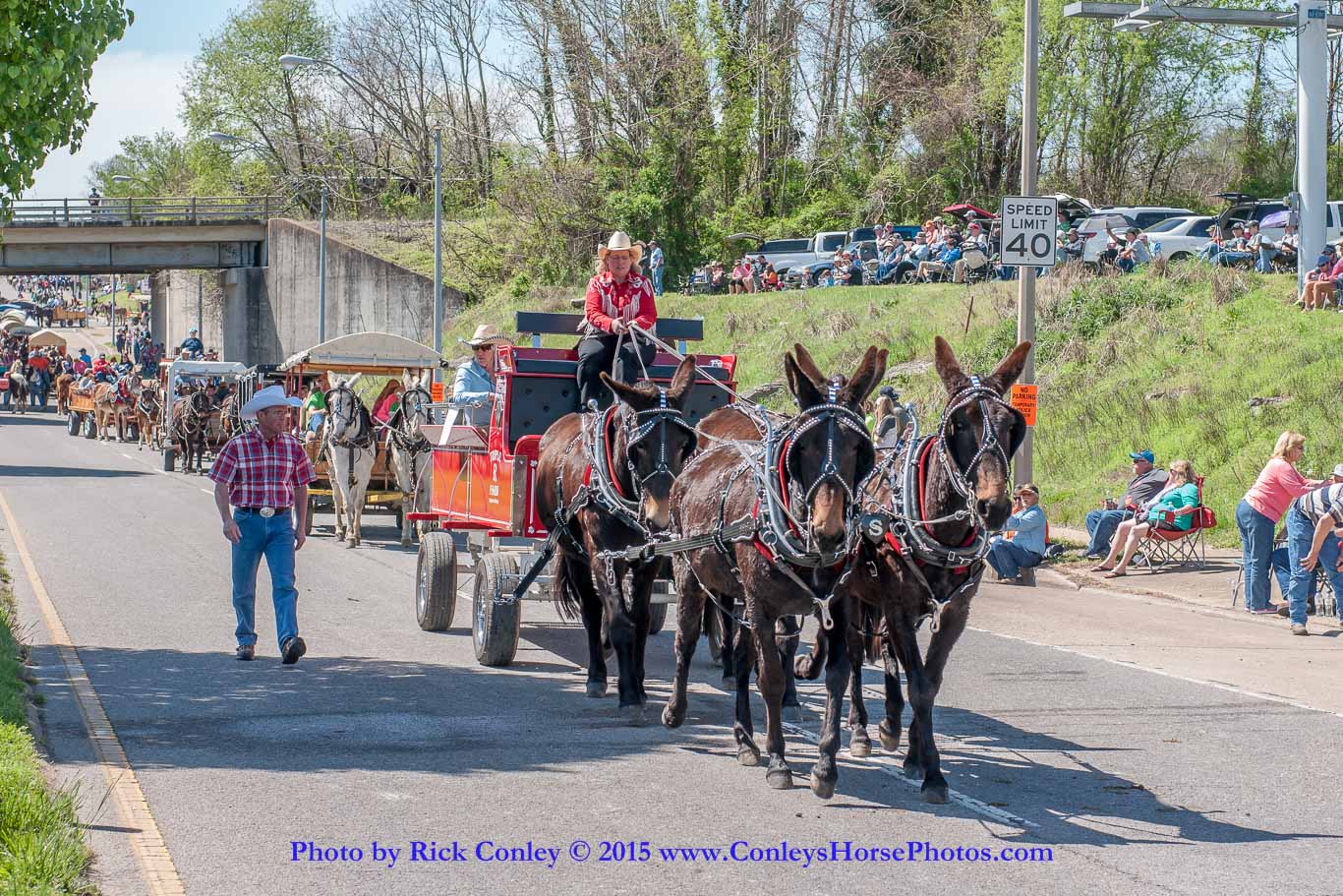 2015-04-11-2095.jpg - SONY DSC