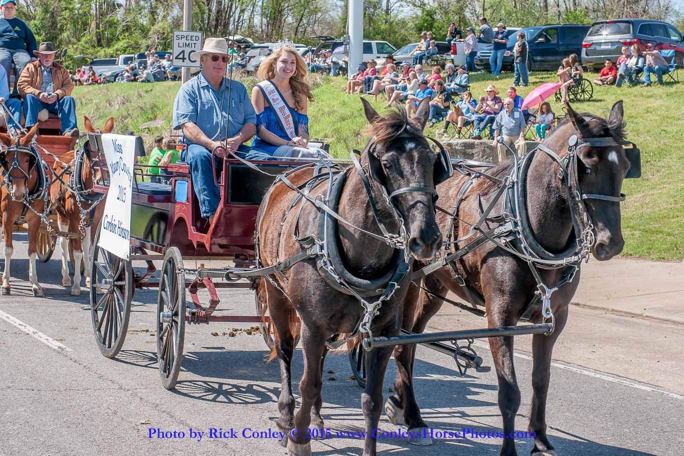 2015-04-11-2098.jpg - SONY DSC