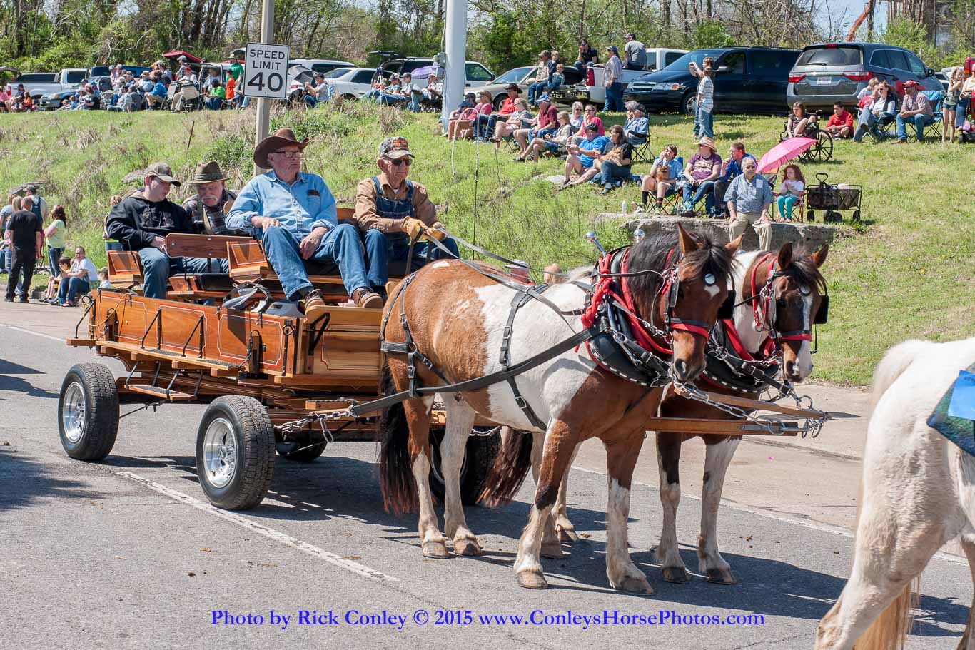 2015-04-11-2105.jpg - SONY DSC