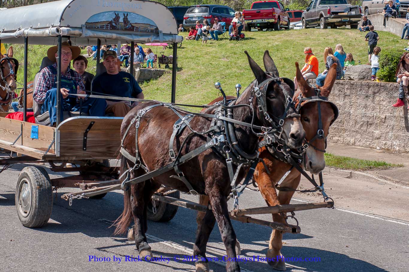 2015-04-11-2112.jpg - SONY DSC