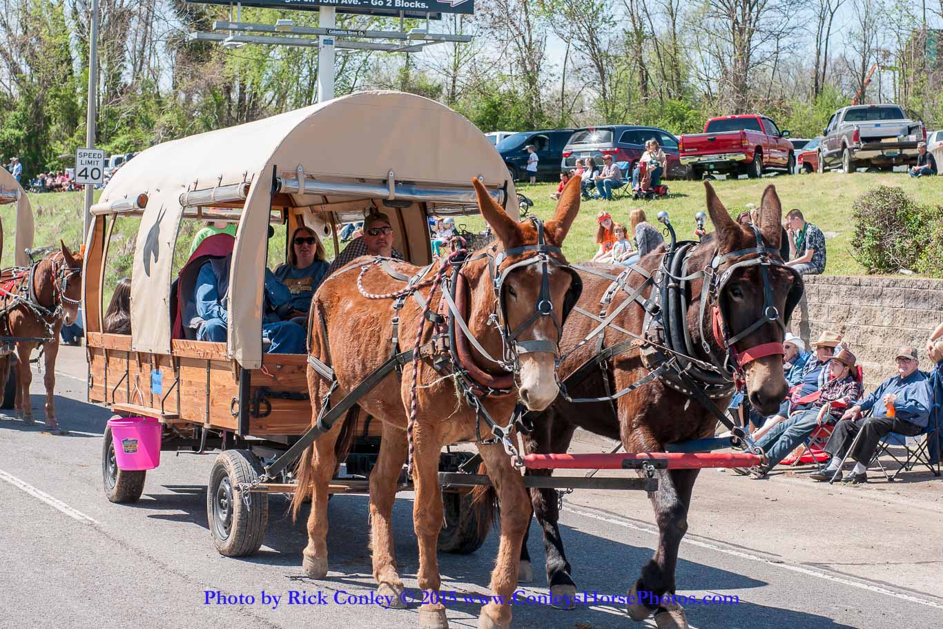 2015-04-11-2114.jpg - SONY DSC