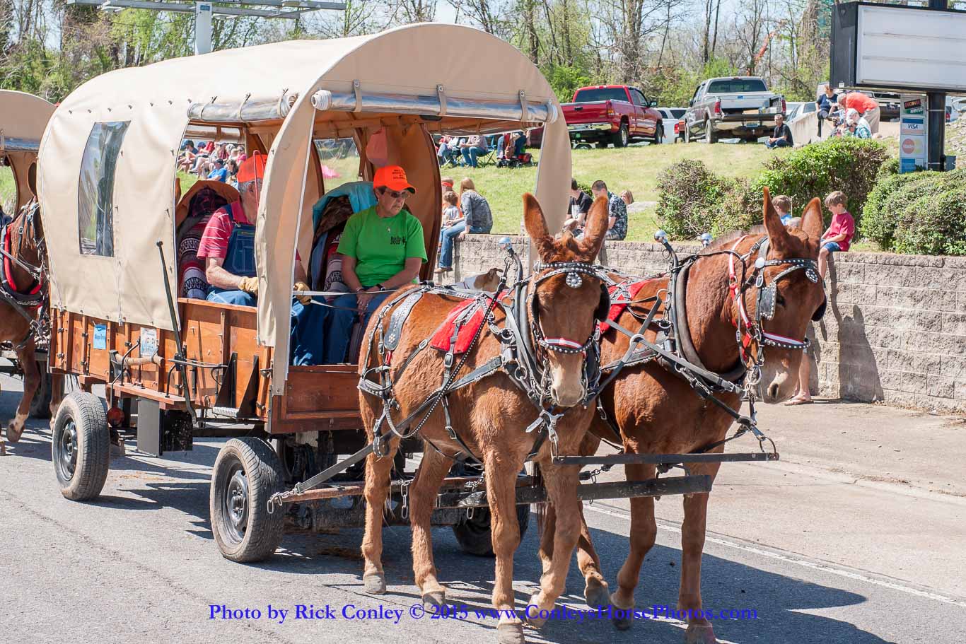 2015-04-11-2115.jpg - SONY DSC