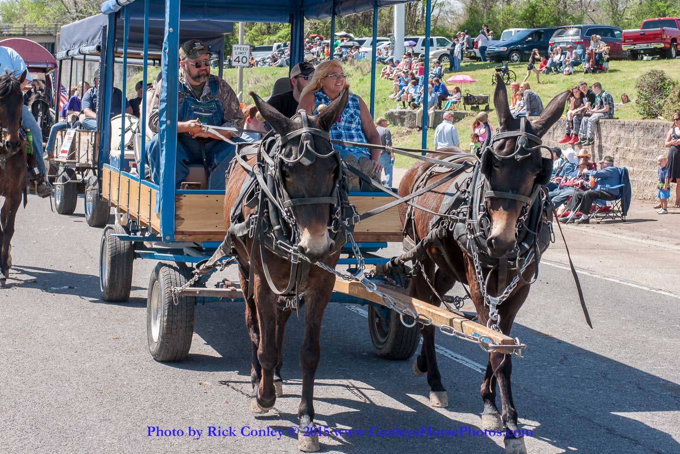 2015-04-11-2118.jpg - SONY DSC