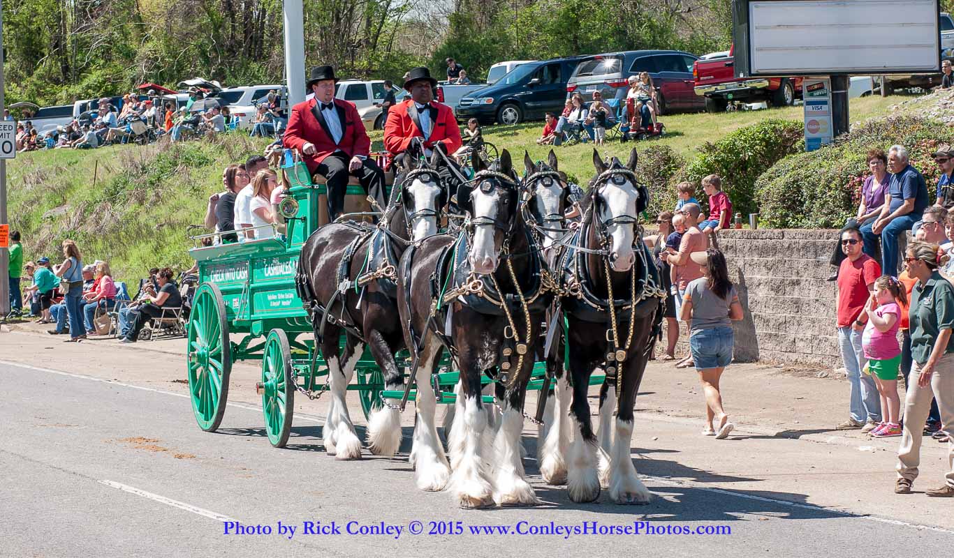 2015-04-11-2131.jpg - SONY DSC