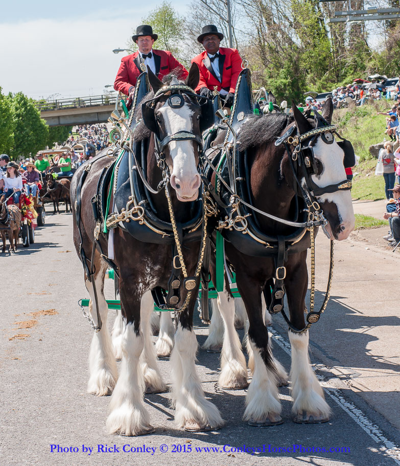 2015-04-11-2141.jpg - SONY DSC