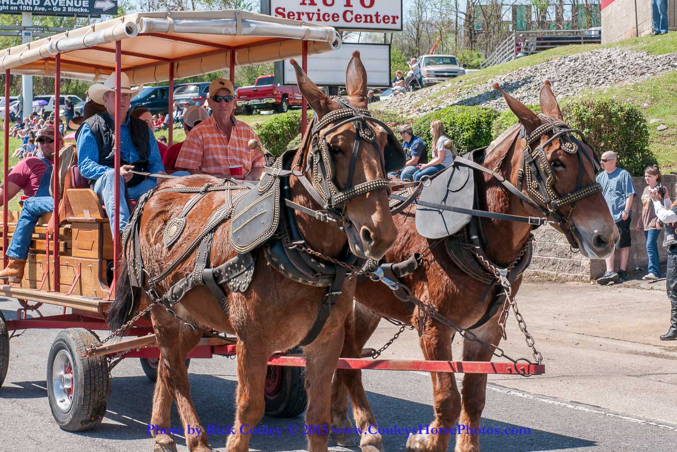 2015-04-11-2148.jpg - SONY DSC