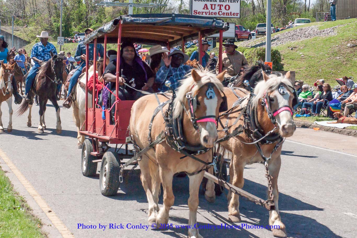 2015-04-11-2195.jpg - SONY DSC