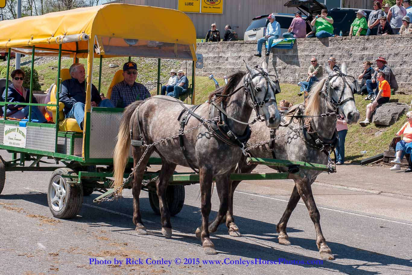 2015-04-11-2200.jpg - SONY DSC