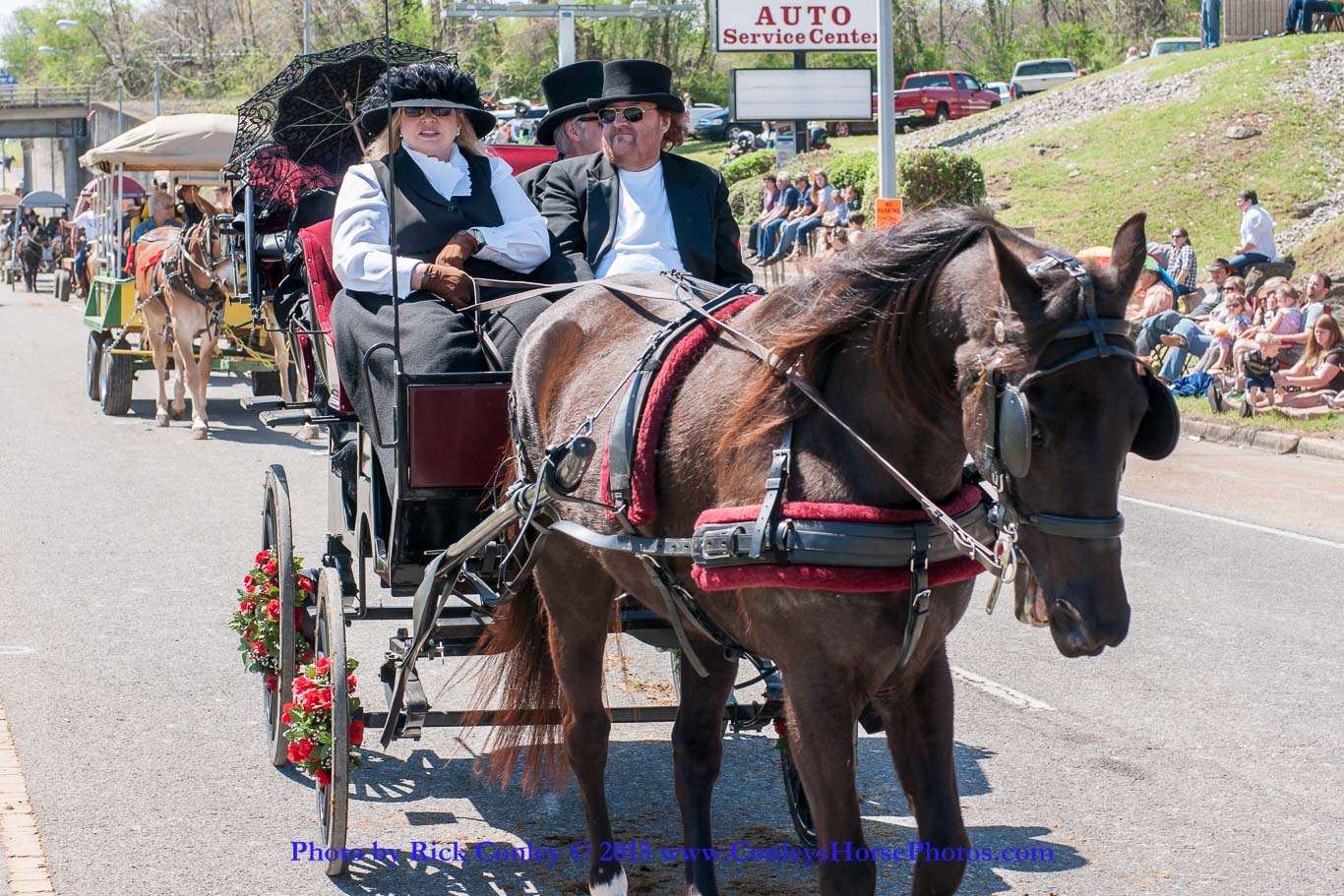 2015-04-11-2203.jpg - SONY DSC