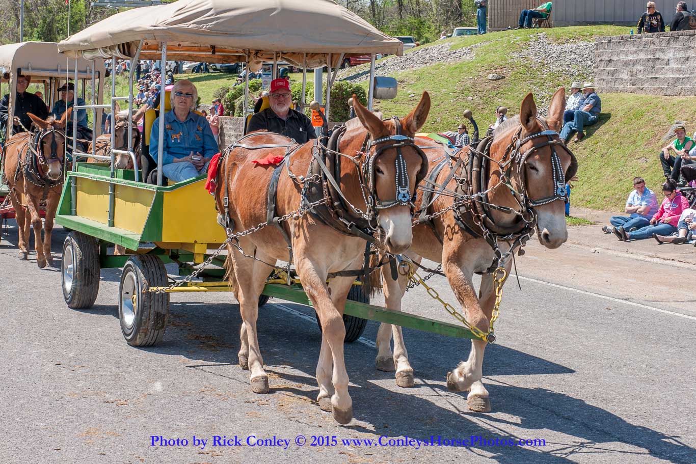 2015-04-11-2205.jpg - SONY DSC