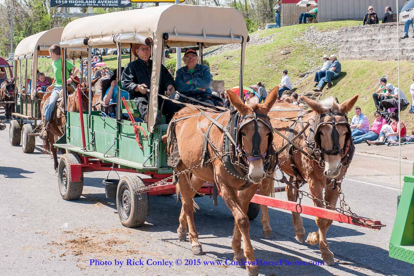 2015-04-11-2206.jpg - SONY DSC